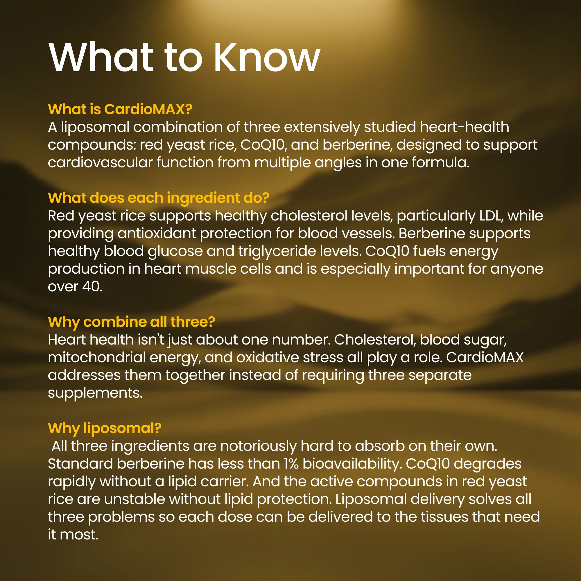 CardioMAX - Image 3