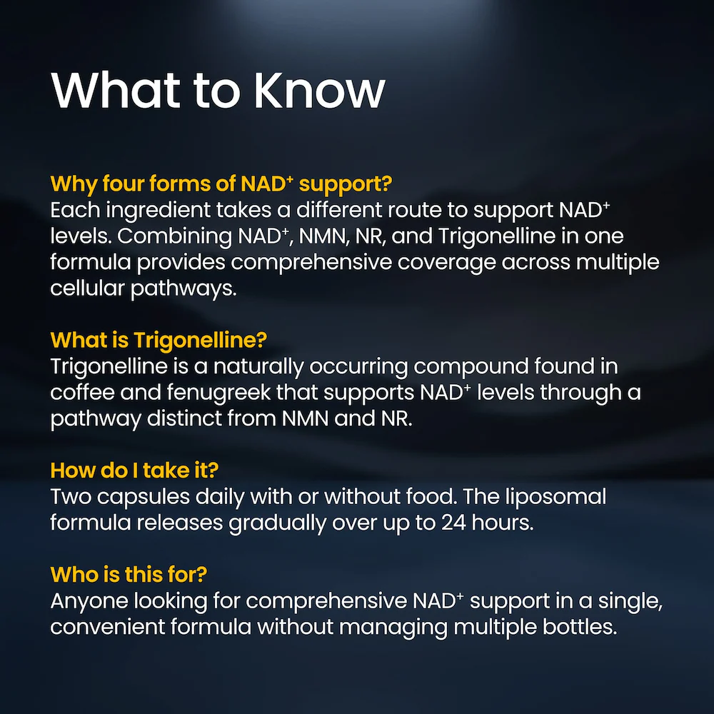 NAD+ Complete - Image 3