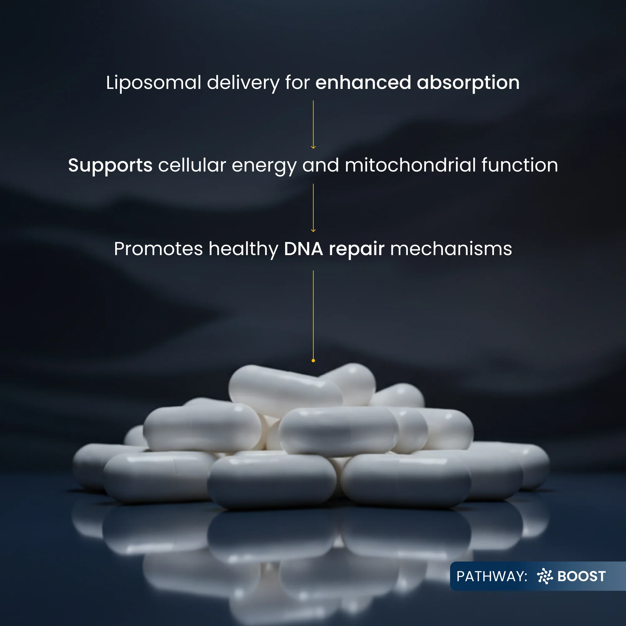 NMN Liposomal Capsules - Image 11