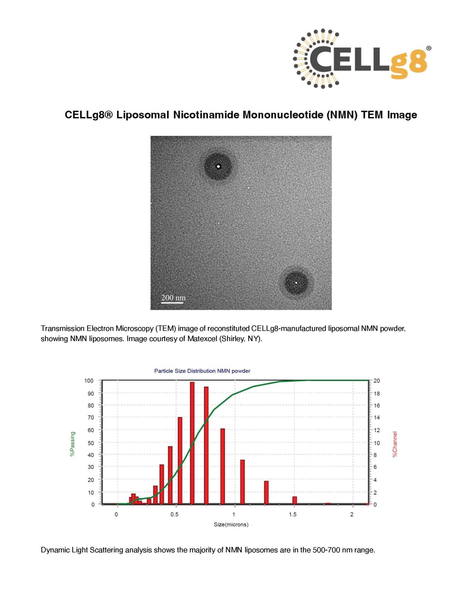 NMN Liposomal Capsules - Image 13