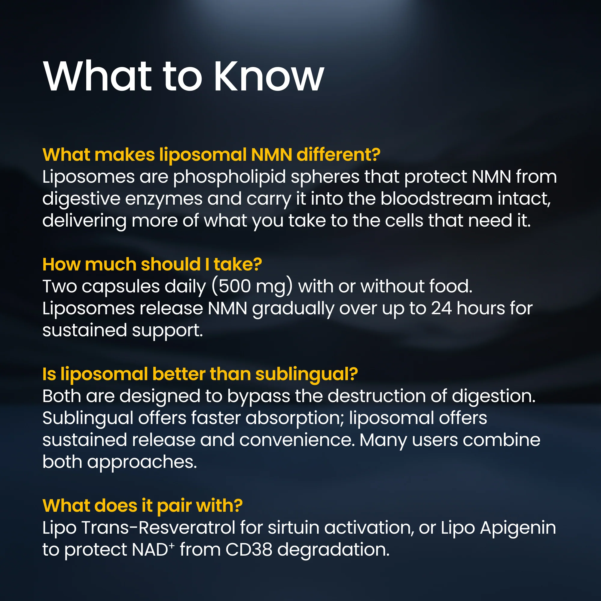 NMN Liposomal Capsules - Image 4