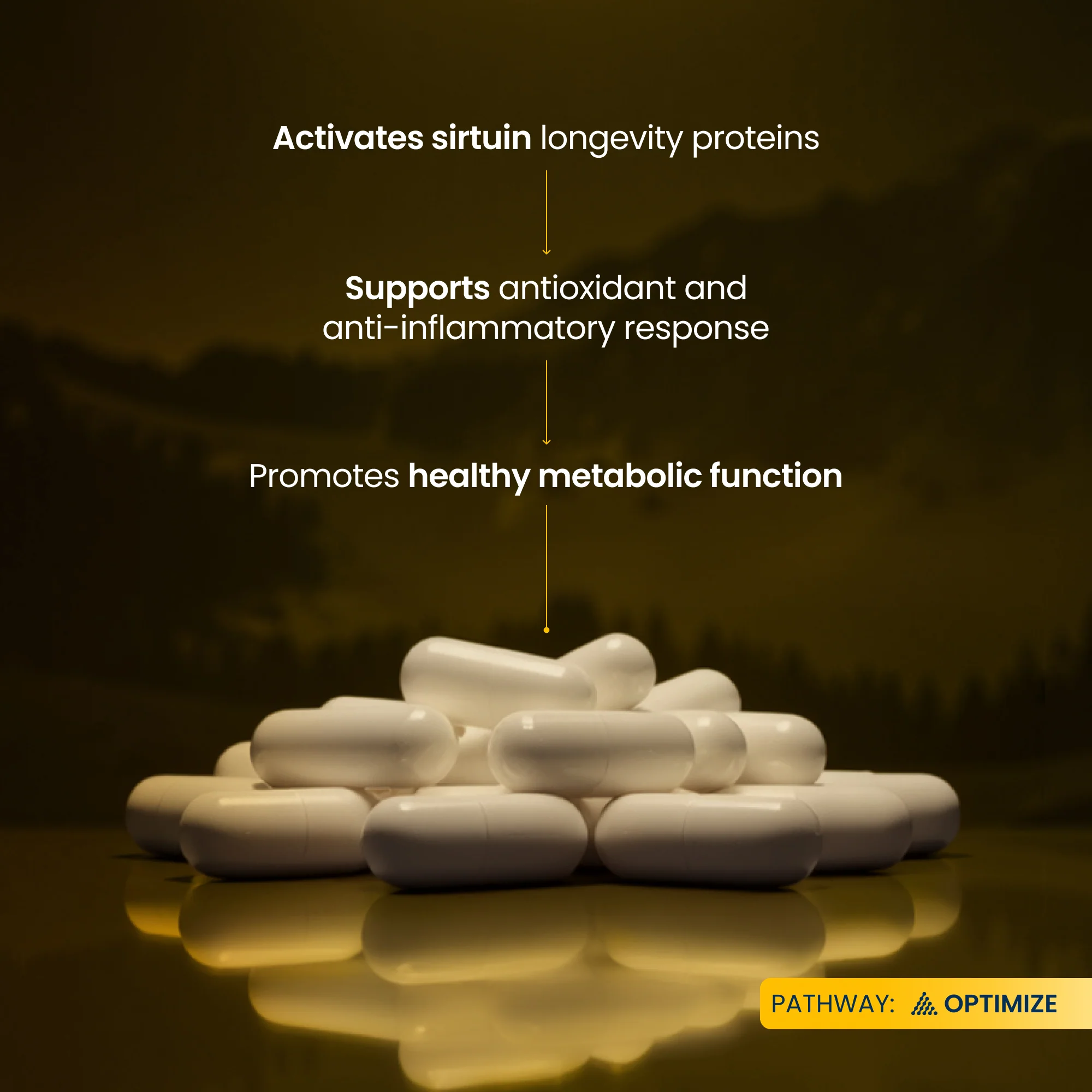 Trans-Resveratrol - Image 8