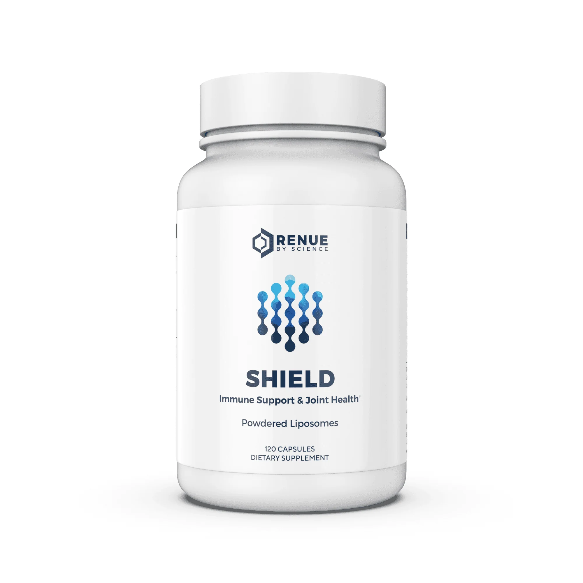 Shield - Image 3