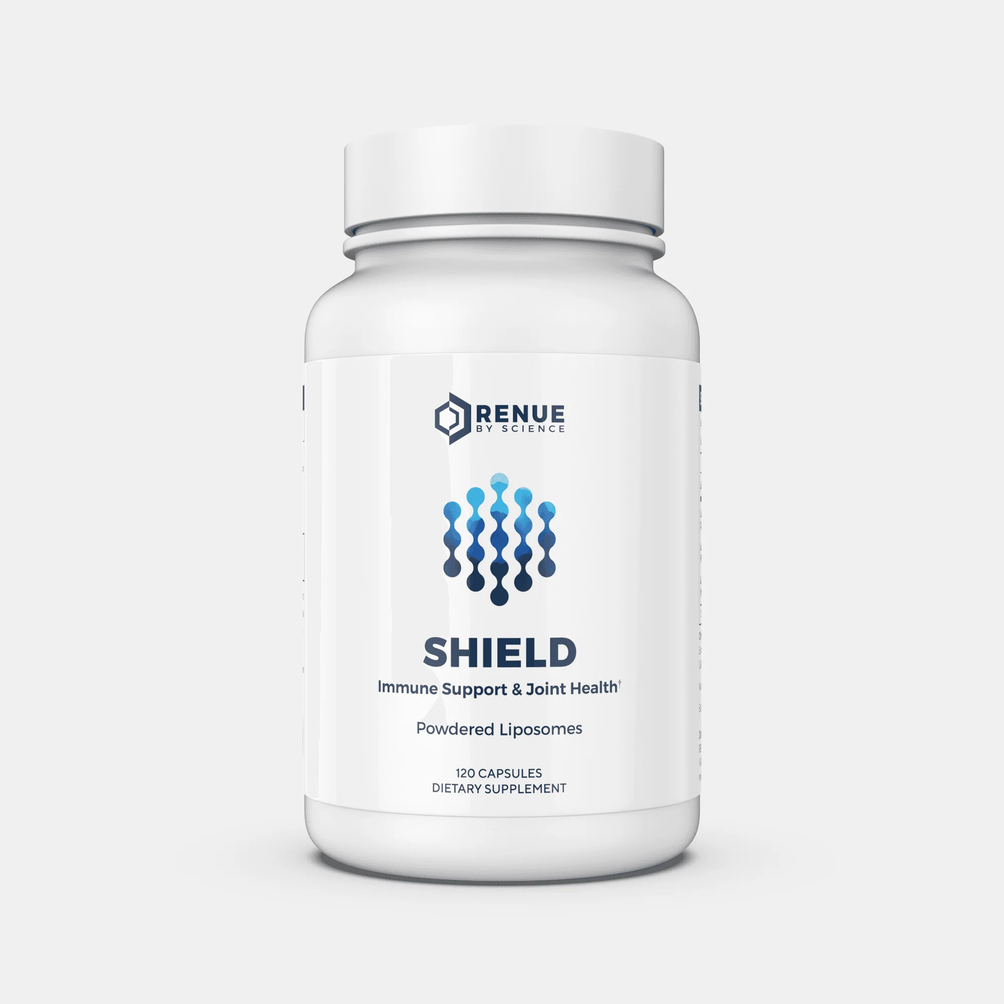 Shield - Image 7