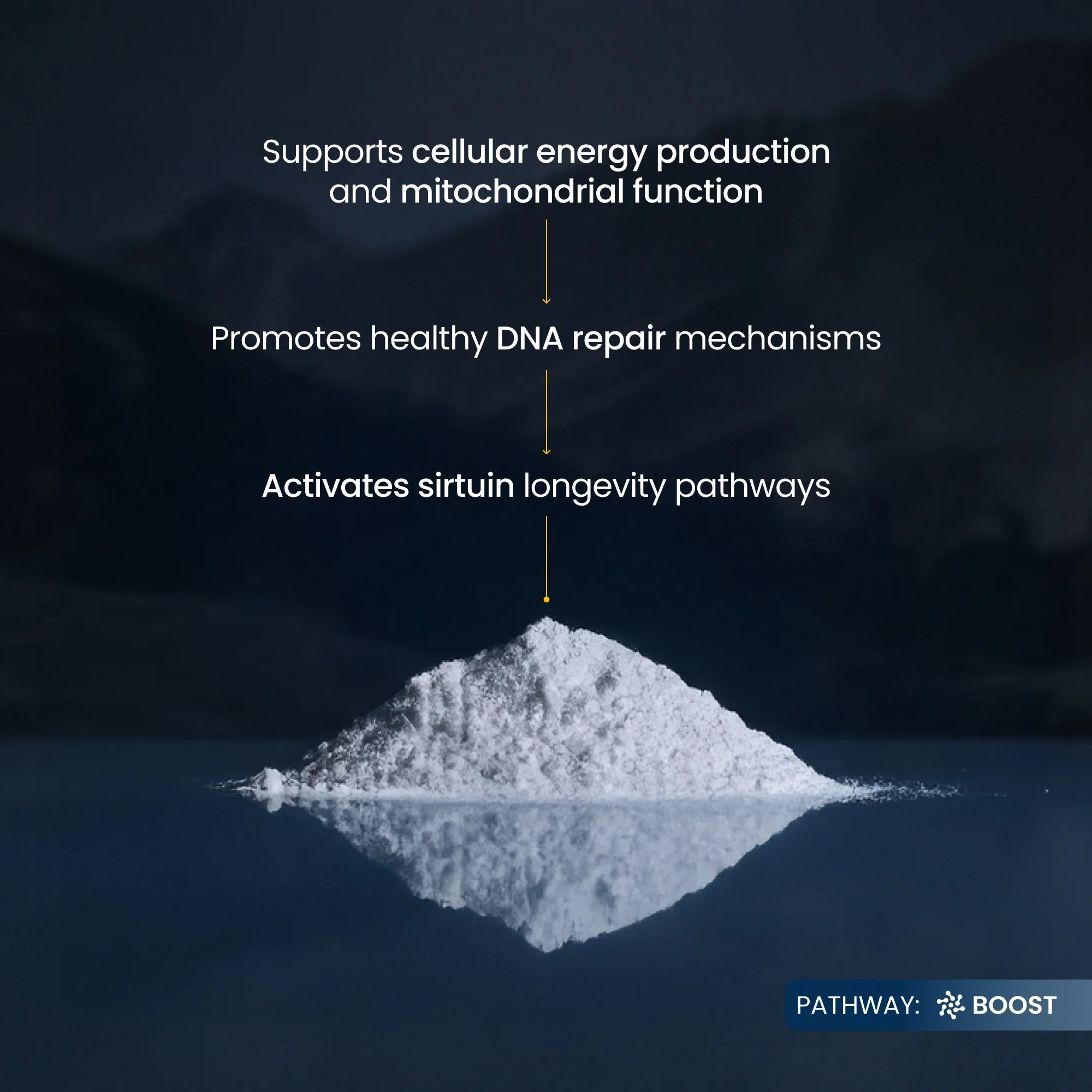 NMN Pure Powder - Image 3