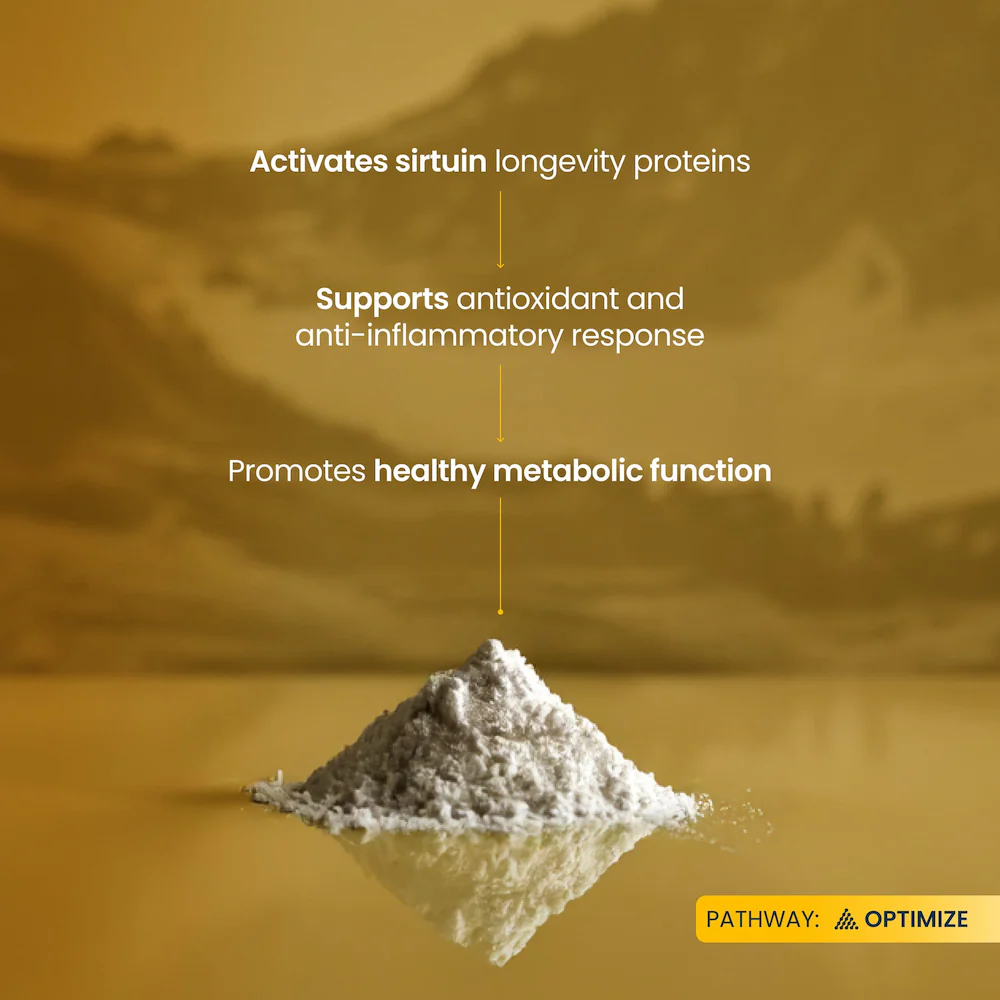 Trans-Resveratrol Pure Powder - Image 4