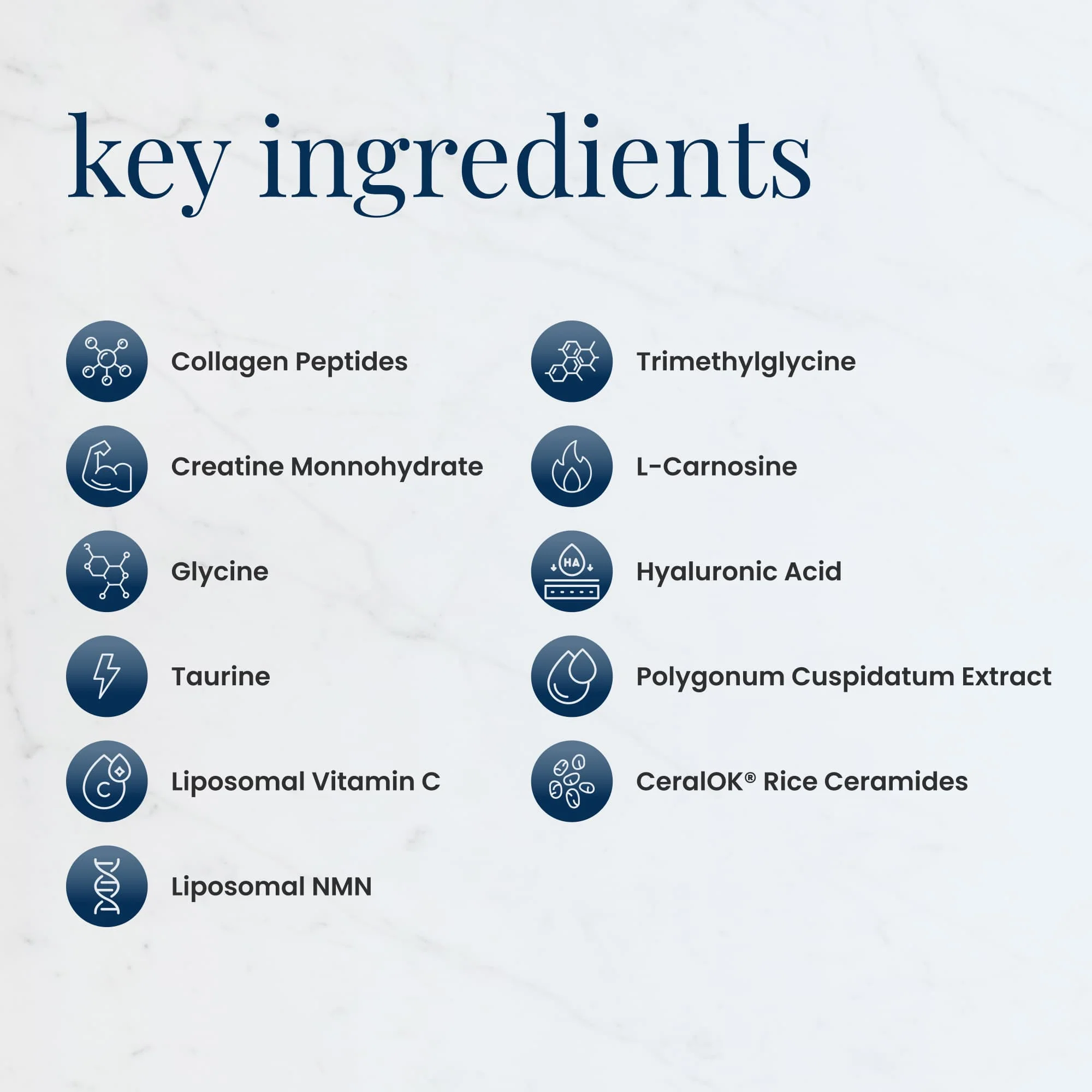 Skin Essentials Chocolate Drink Mix - Image 5